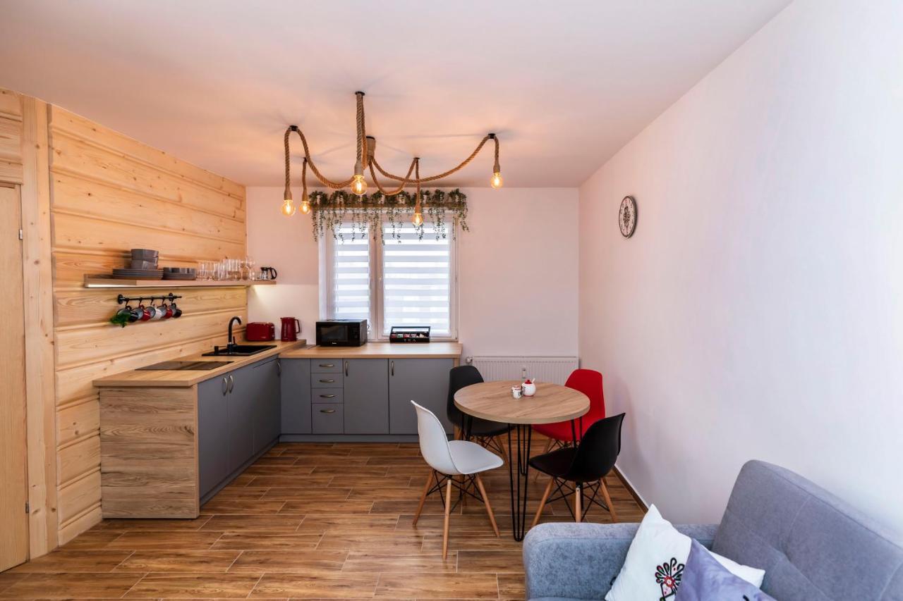 Apartament Hanki Przy Krupowkach ザコパネ エクステリア 写真